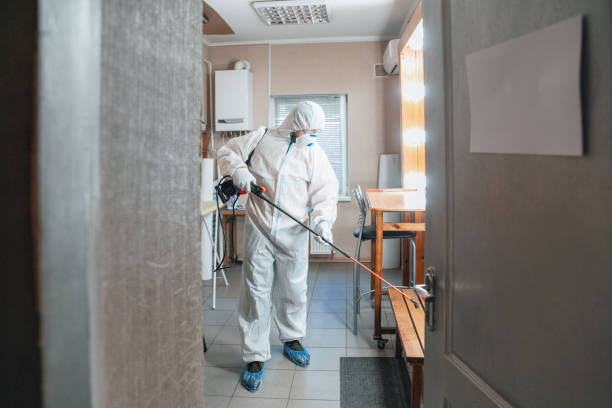 Best Comprehensive Air Testing for Mold Contaminants  in Hapeville, GA