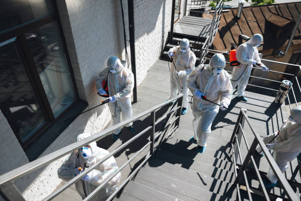  Hapeville, GA Mold Removal Pros