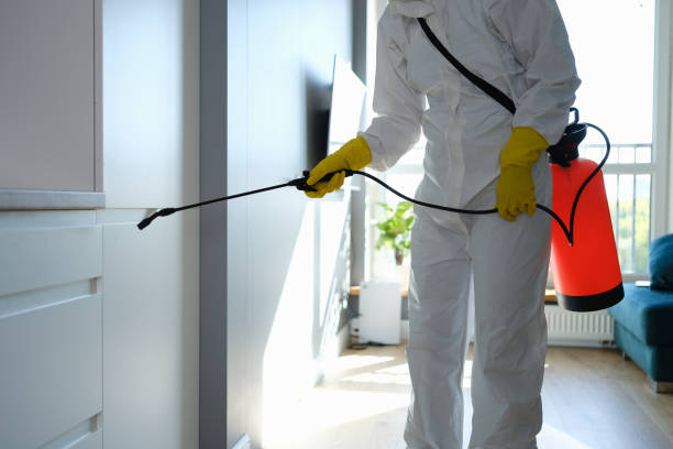 Mold Documentation for Insurance Claims in Hapeville, GA