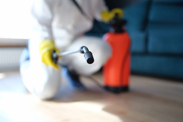 Best Residential Mold Inspection & Testing  in Hapeville, GA