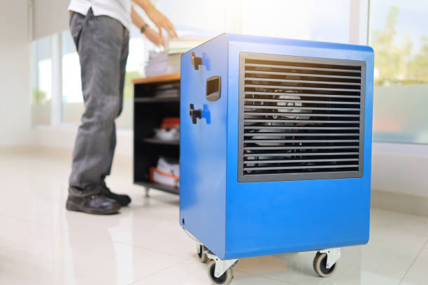 Hapeville, GA Mold Removal Company