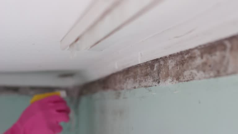 Best Water Damage & Mold Remediation  in Hapeville, GA